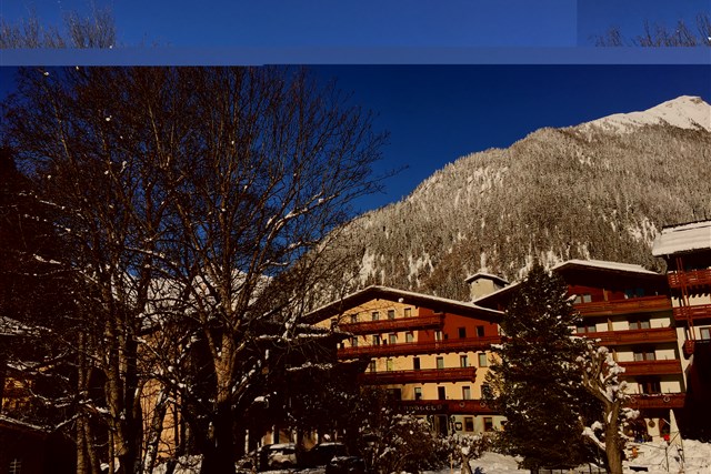 Hotel ALBER ALPENHOTEL - 