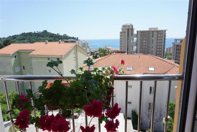 VILA LENA - VILA LENA, Petrovac